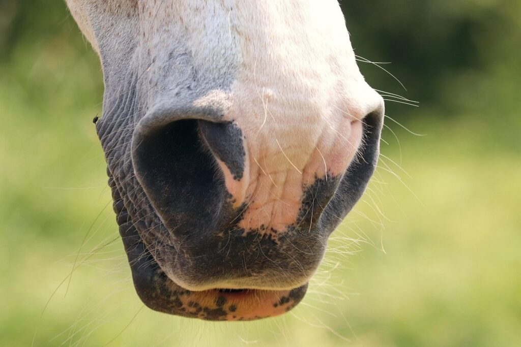 benefits of alternate nostril breathing