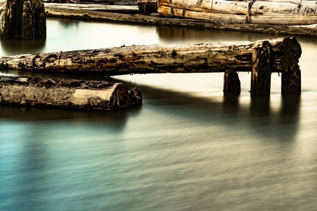 beauty in simplicity