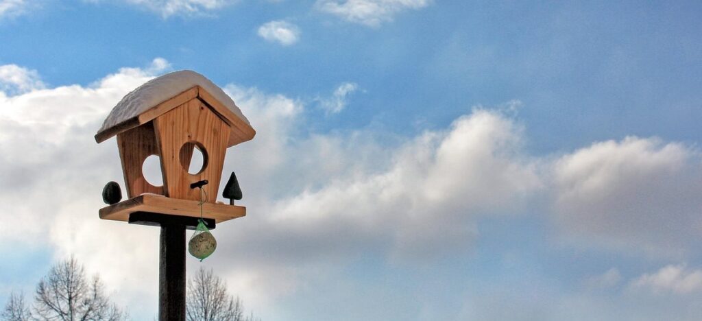 easy diy bird feeder