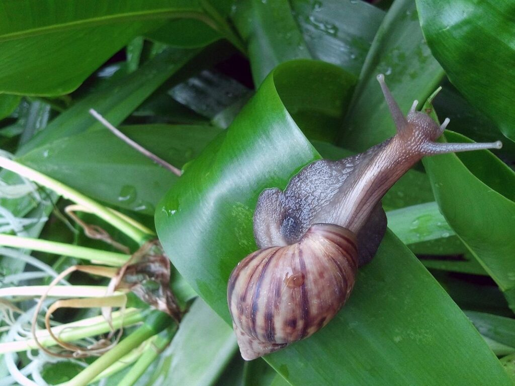 live slow