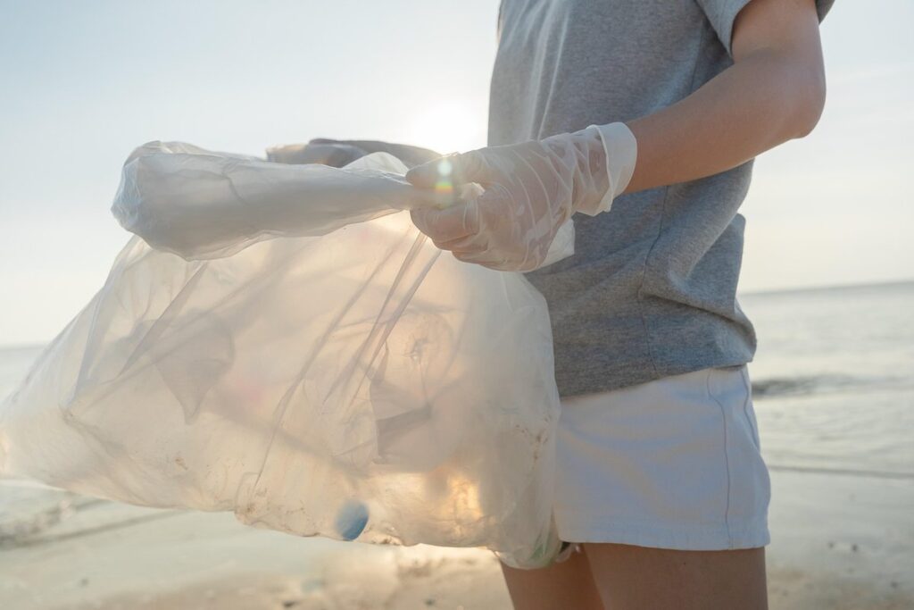 plastic free lunch bag