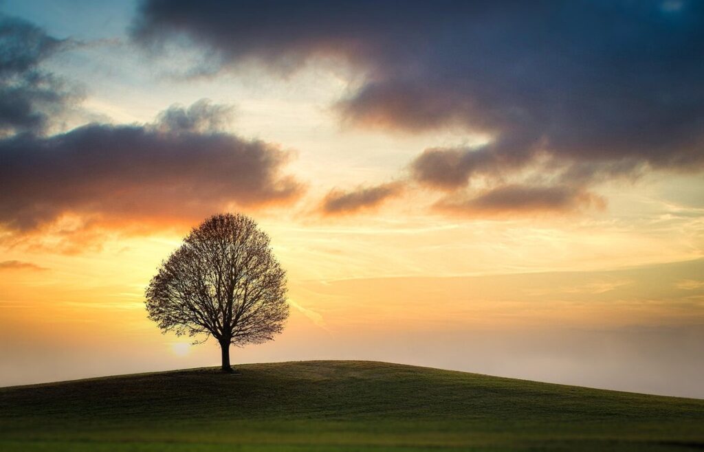 single mindedness