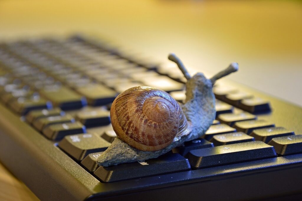 slow living meaning