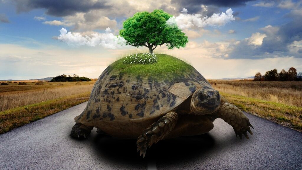 what is slow travel