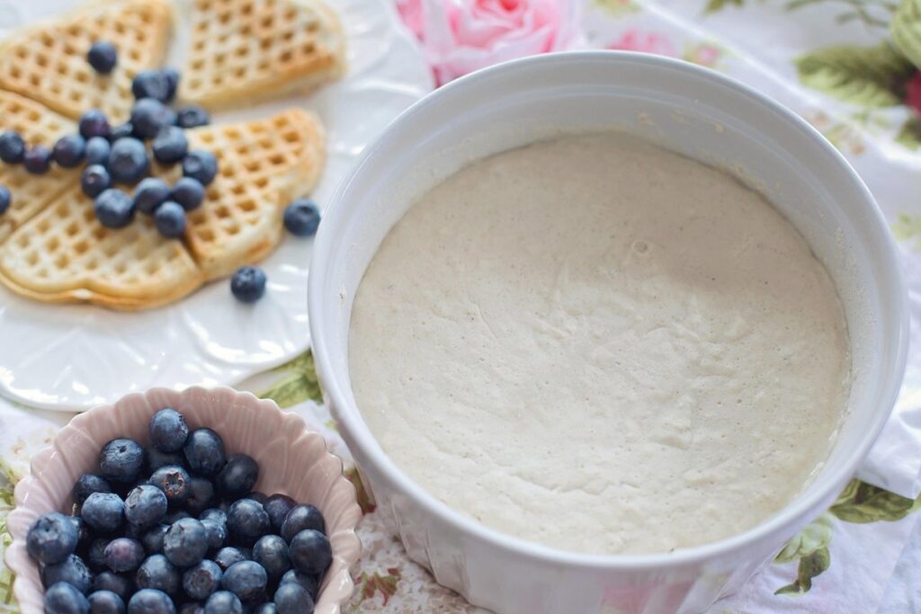 how to feed sourdough starter