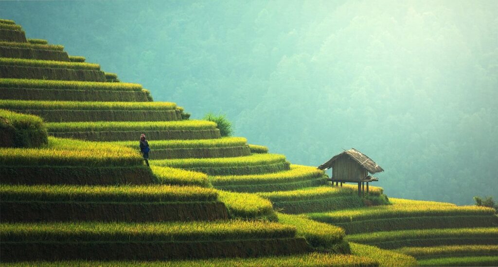 what is sustainable agriculture