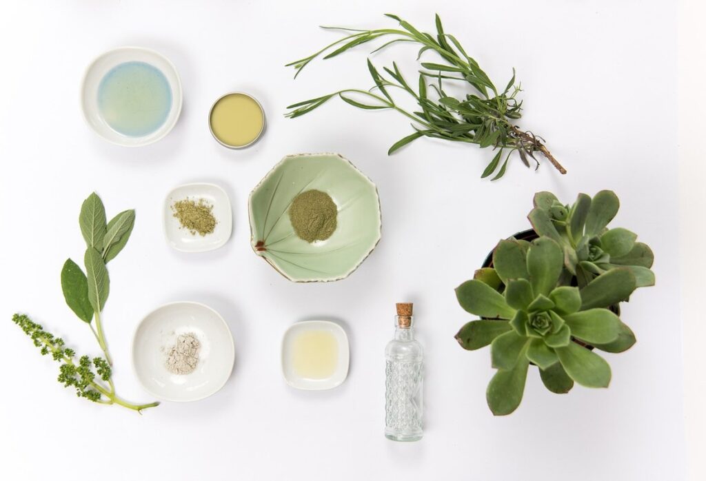 how to live a sustainable lifestyle