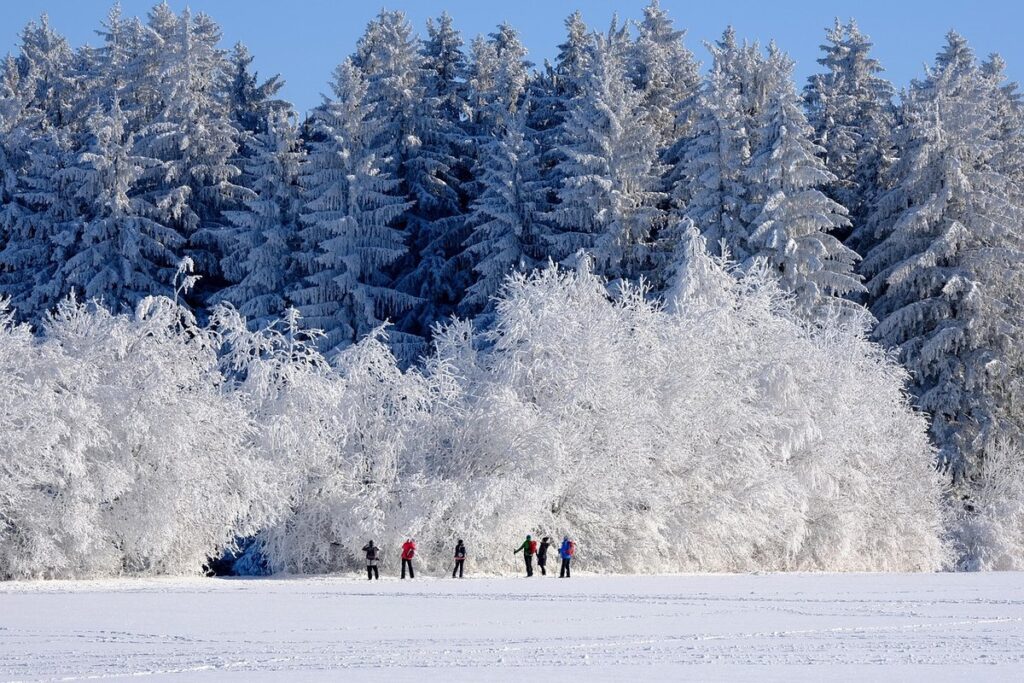 winter decluttering