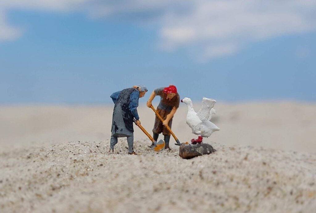 beach clean up