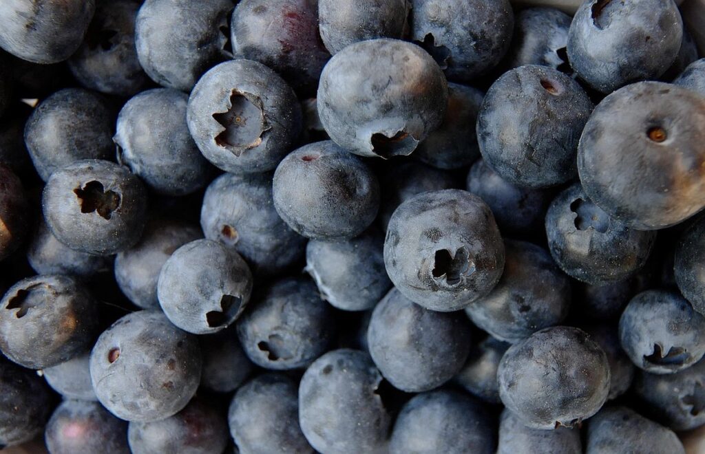 can you freeze blueberries