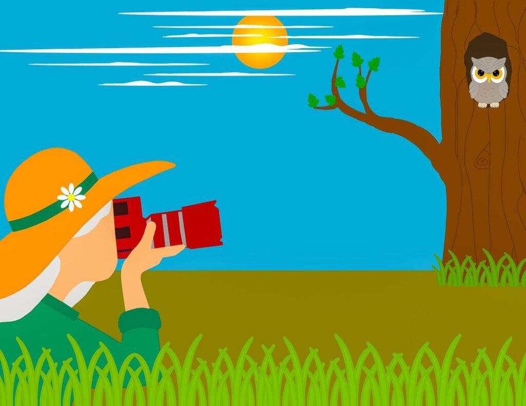 camera drawing