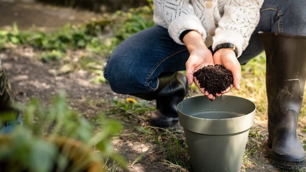 compostable plastic