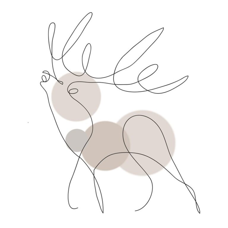 how to draw a deer