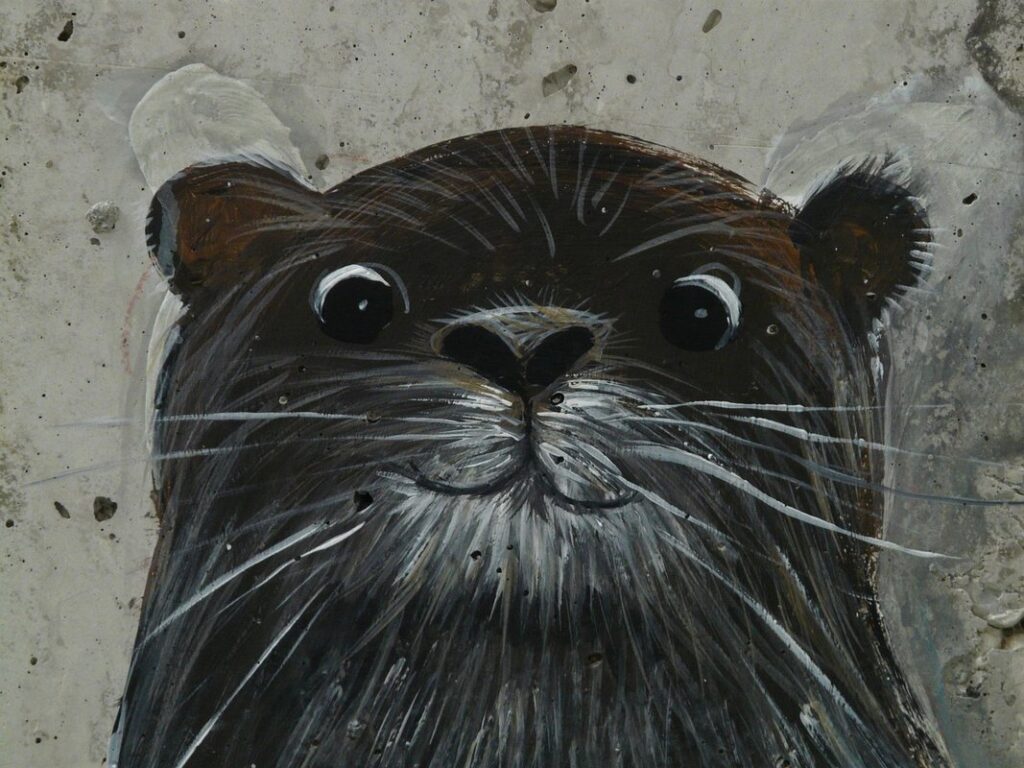 drawings of otters