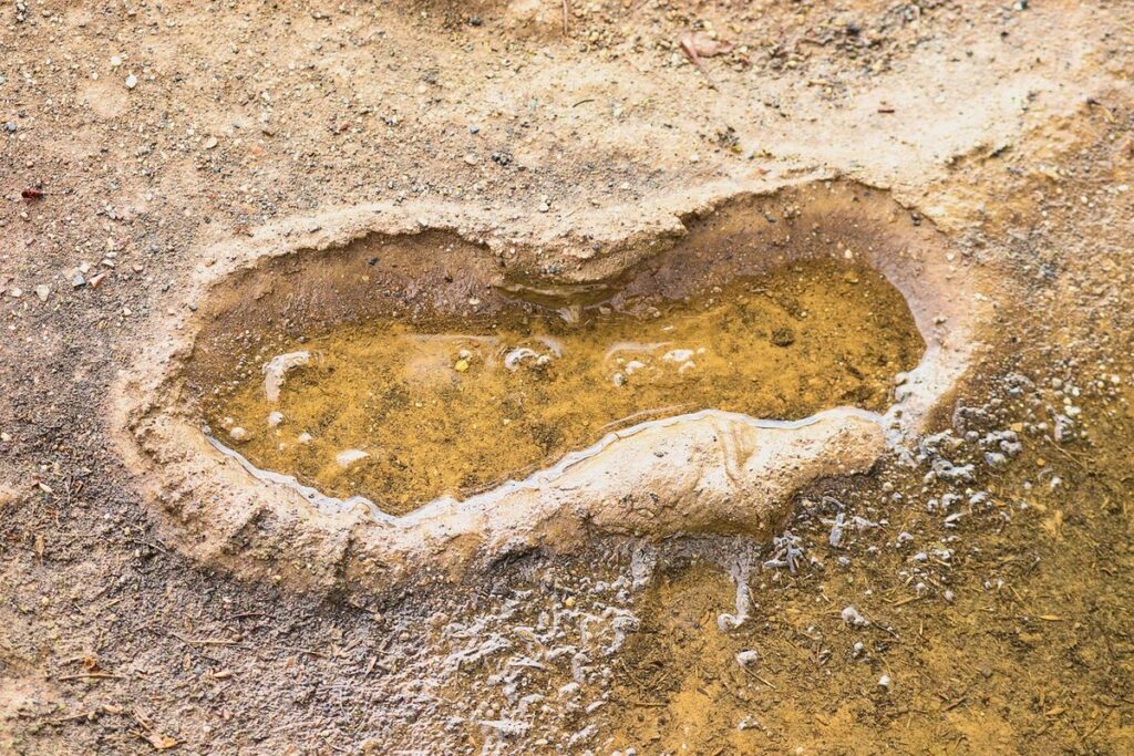 how can i reduce my ecological footprint