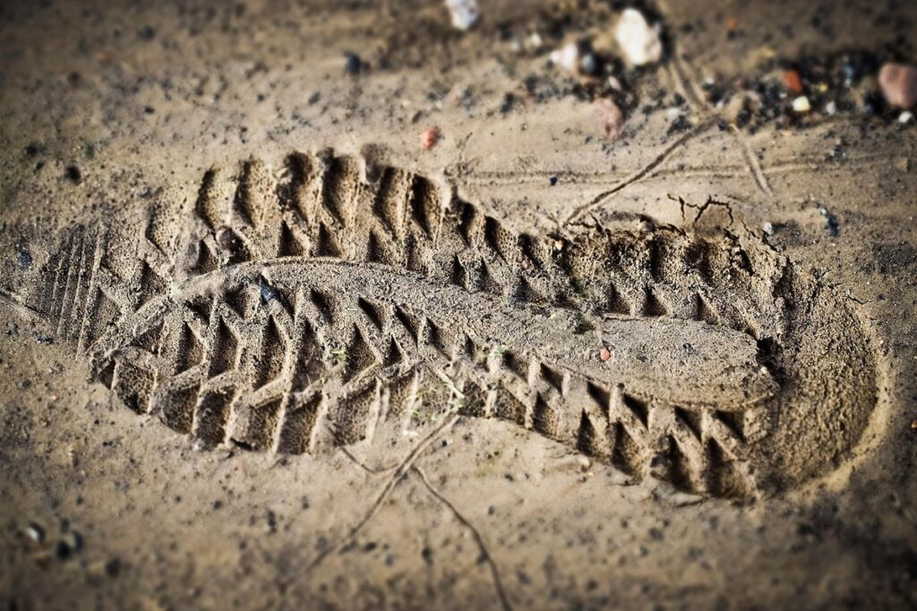 ecological footprint calculator