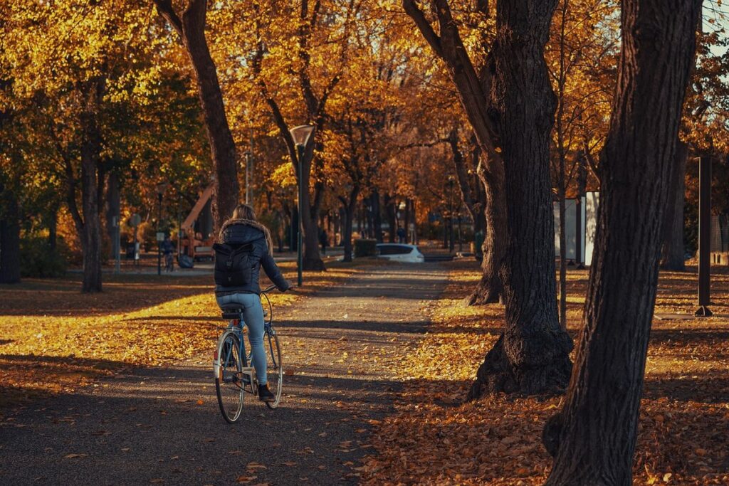 autumn activities for kindergarten