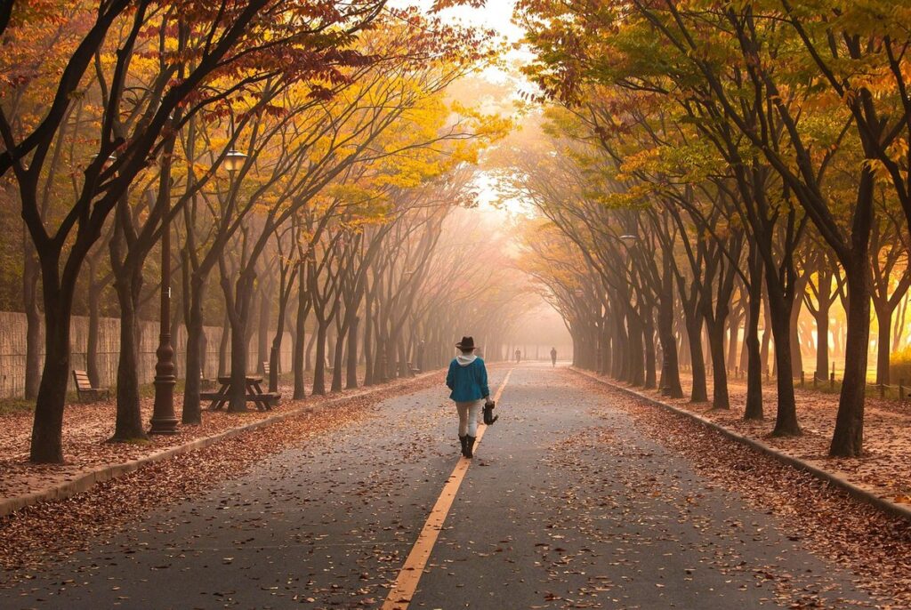 fall walking