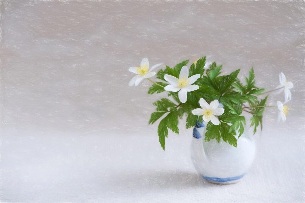 simple easy flowers to draw