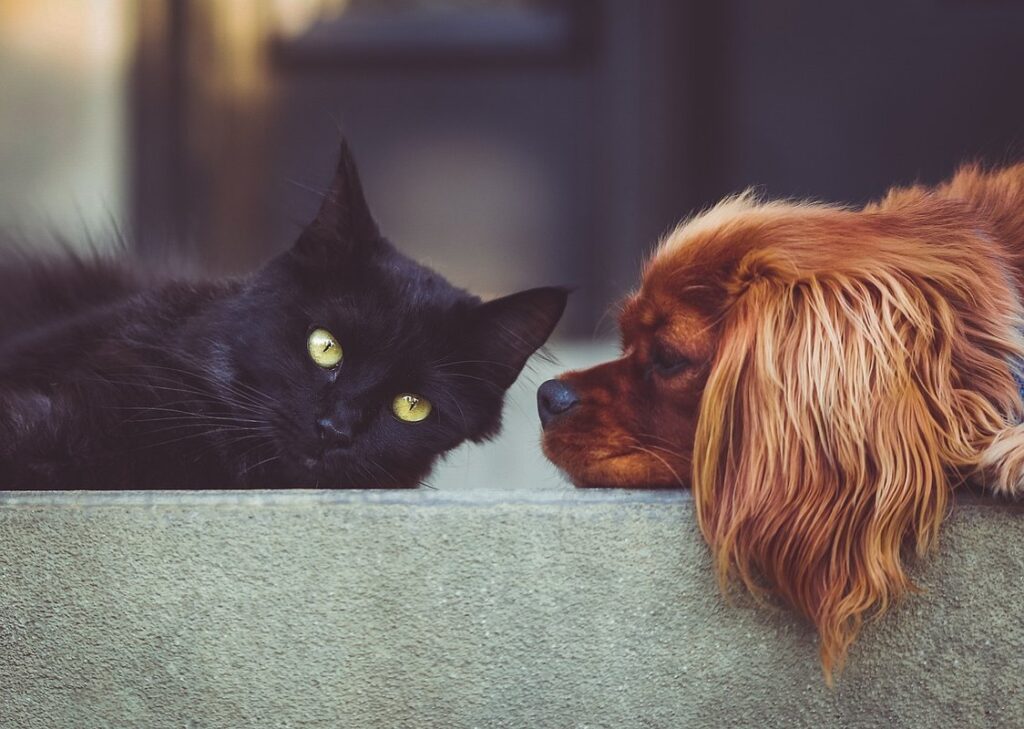 how to be a great friend