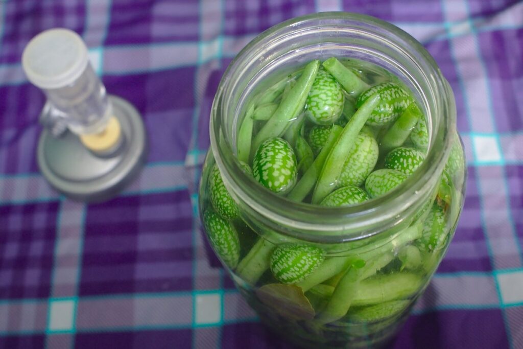 how to can green beans