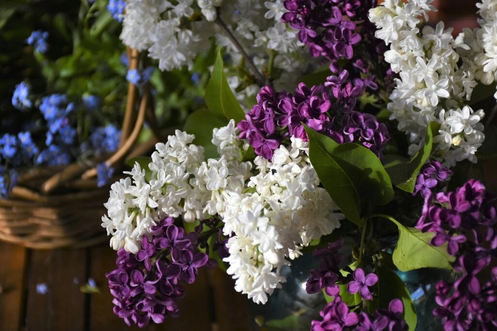 may day baskets for neighbors