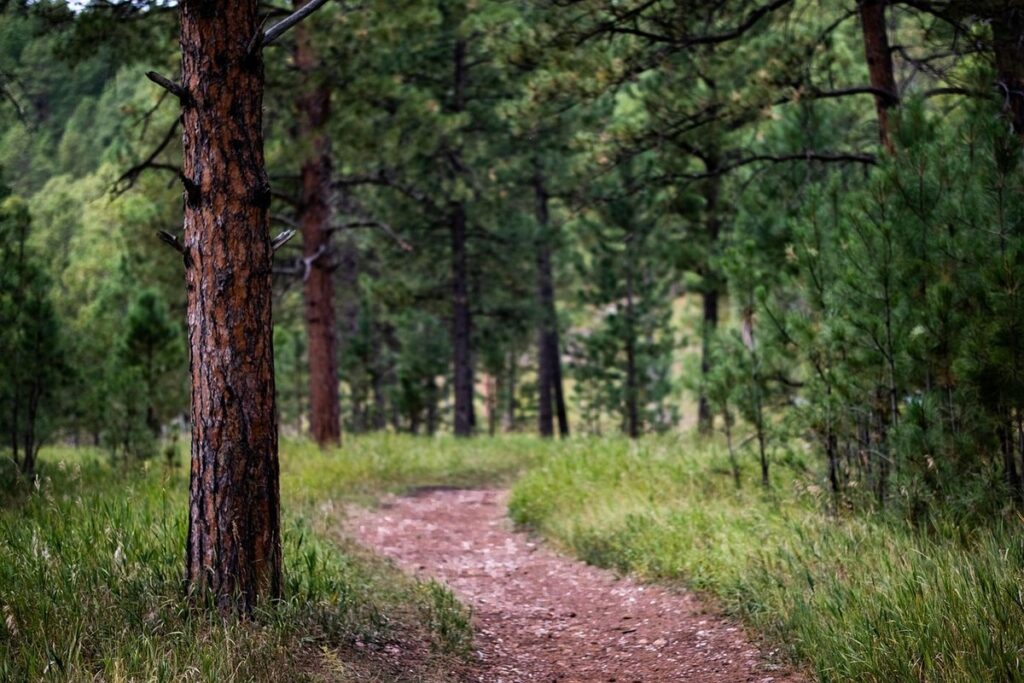 best hiking trails in the midwest