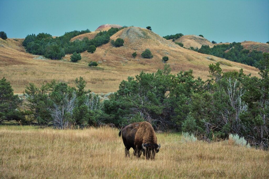 national parks in the midwest