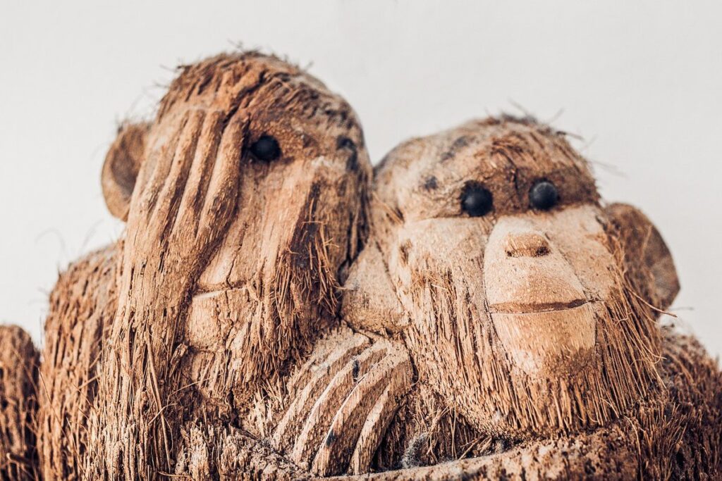 deforestation from palm oil