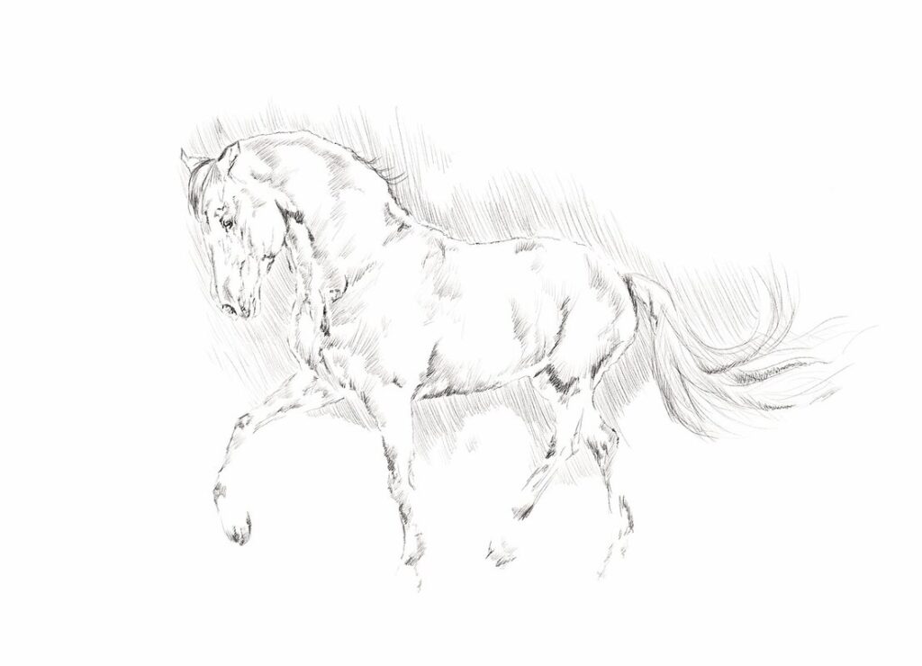 sketch an animal