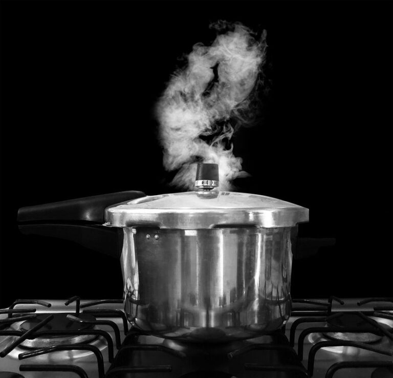 pressure canner vs pressure cooker