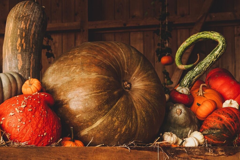 pumpkin ideas without carving