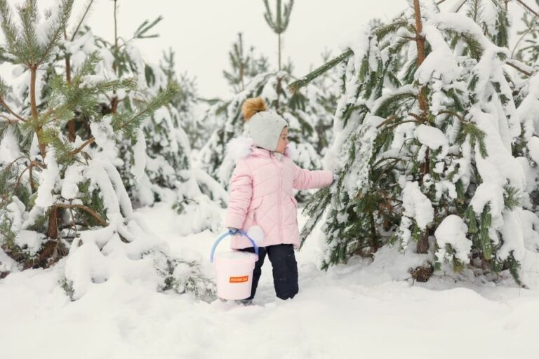 winter bucket list ideas