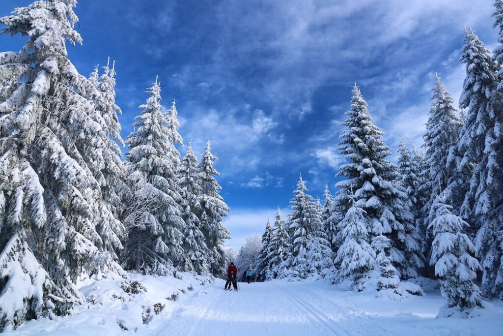 winter nature activities