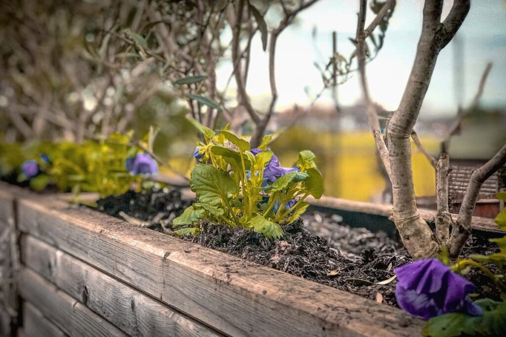 wood planter box