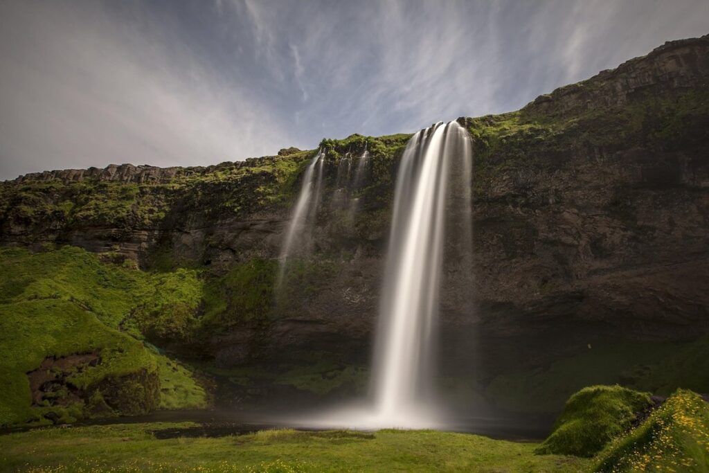 earth day activities for adults