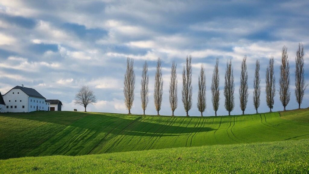 things in the countryside