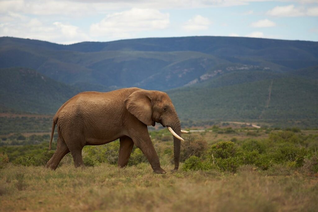 best ways to support eco-tourism