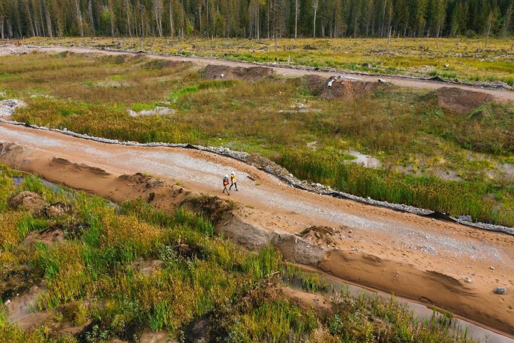 ecological restoration