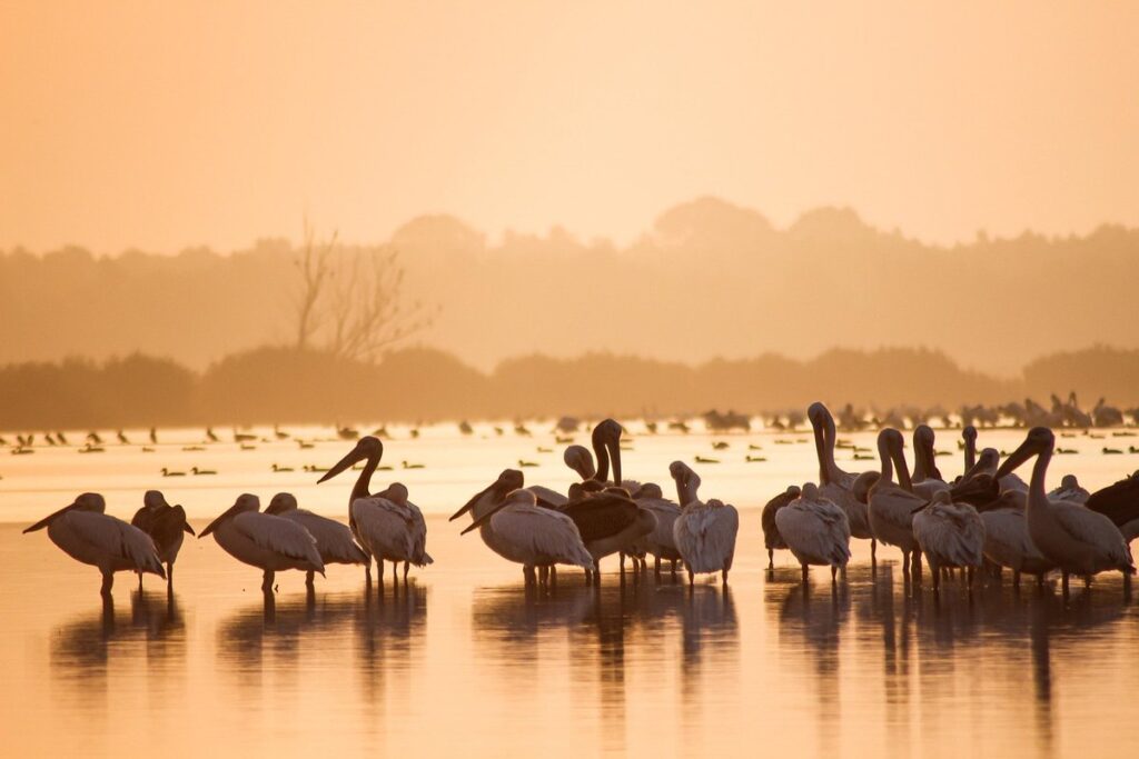 ecotourism examples