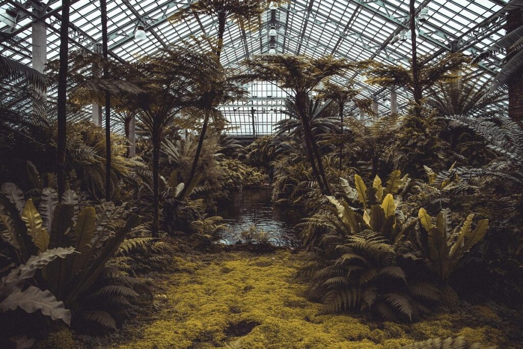 environmental conservation