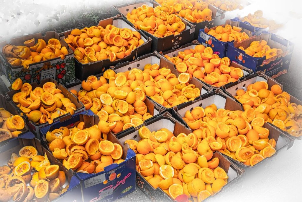 food waste