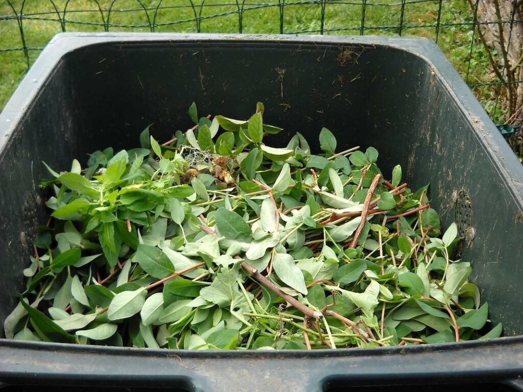 composting food waste