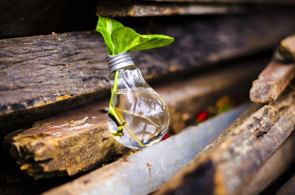 gardening with recycled materials