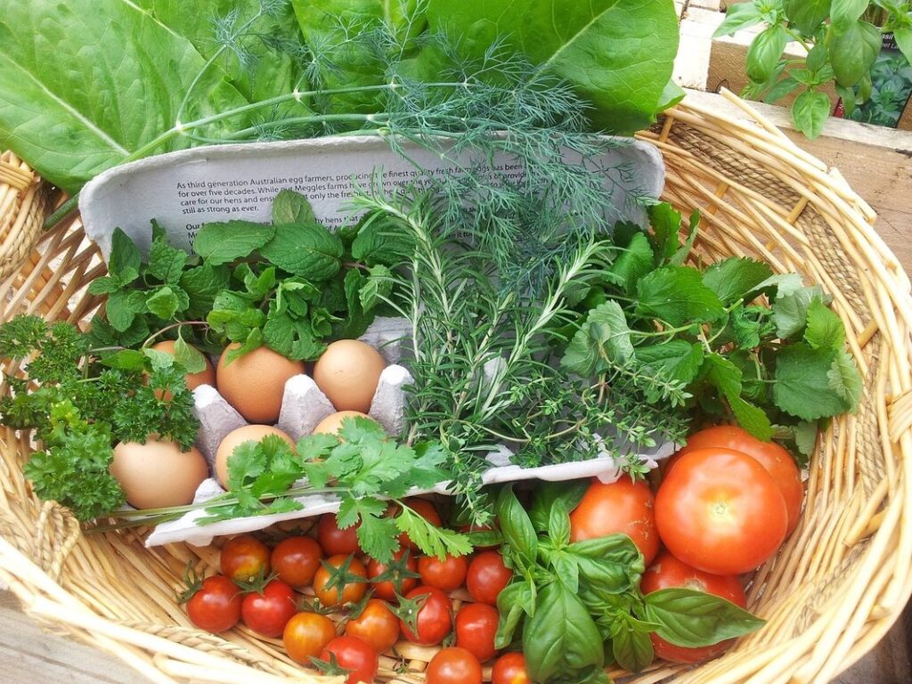 living a self sustainable lifestyle