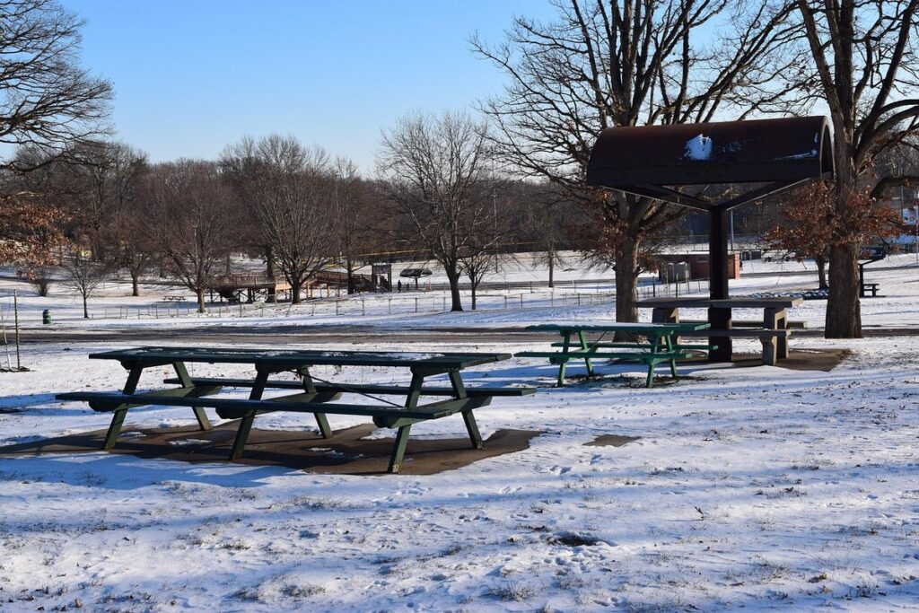winter picnic