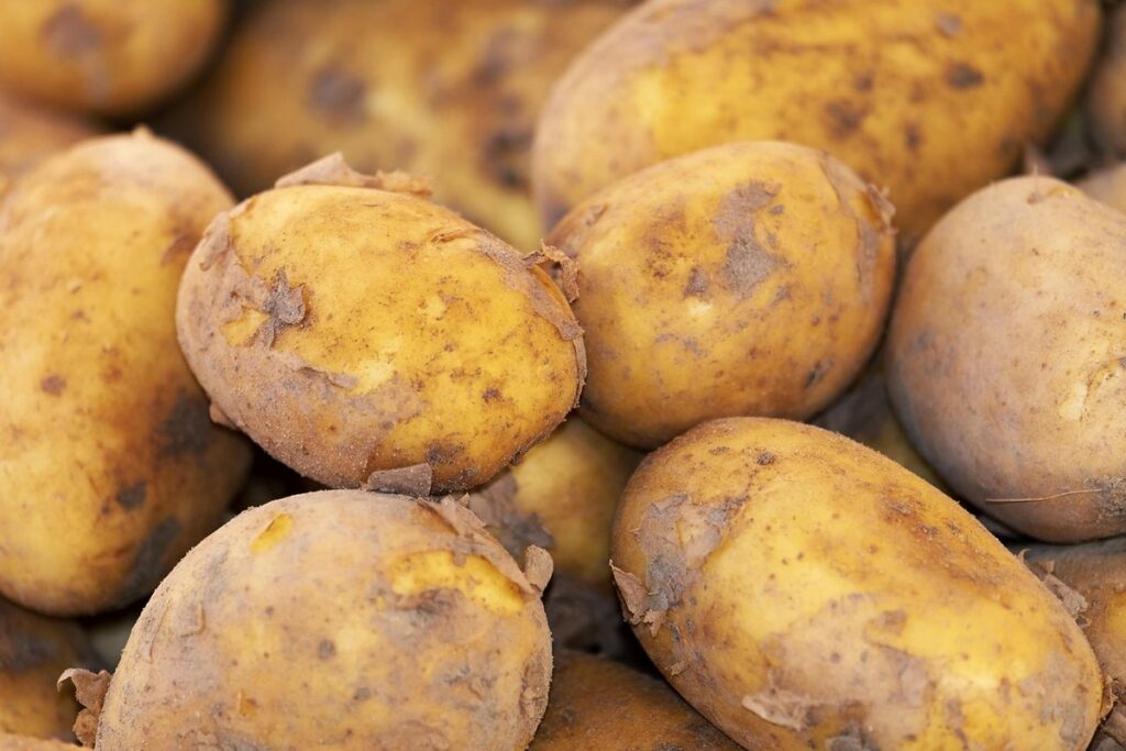 natural plant food