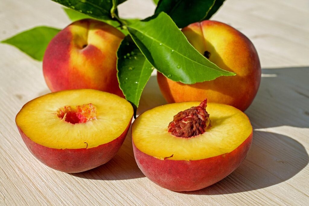 how to plant a peach seed