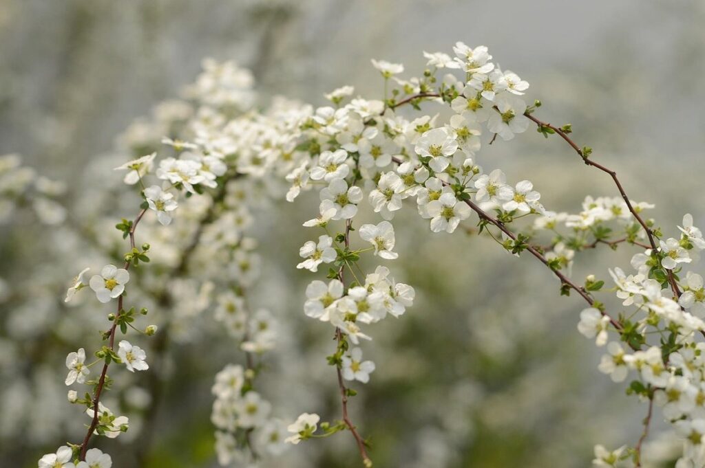 spring equinox