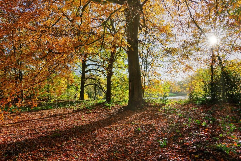 uk country walks